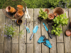 В магазине «Умельцы» вы найдете инструменты для осенних садовых работ